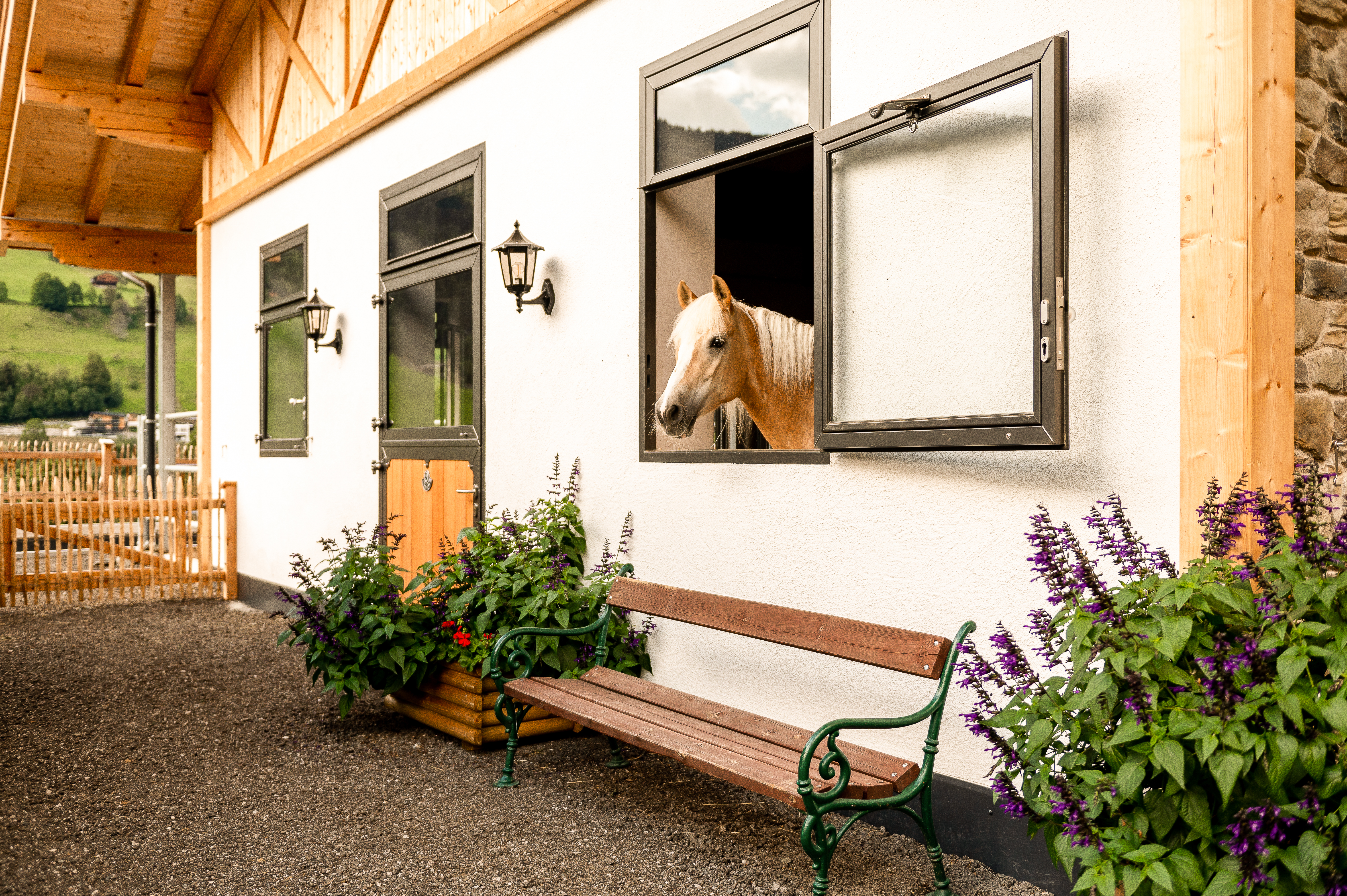 Röwer & Rüb-Fenster mit Pferdekopf und einer Tür