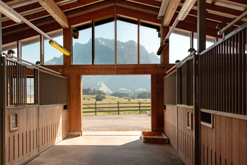 Vue depuis l’écurie de Jacpoint Quarterhorses sur un paysage de montagne pittoresque avec pâturage