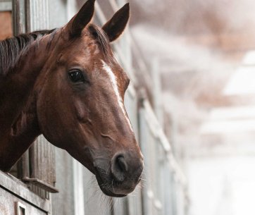 Röwer & Rüb-R&Air-System