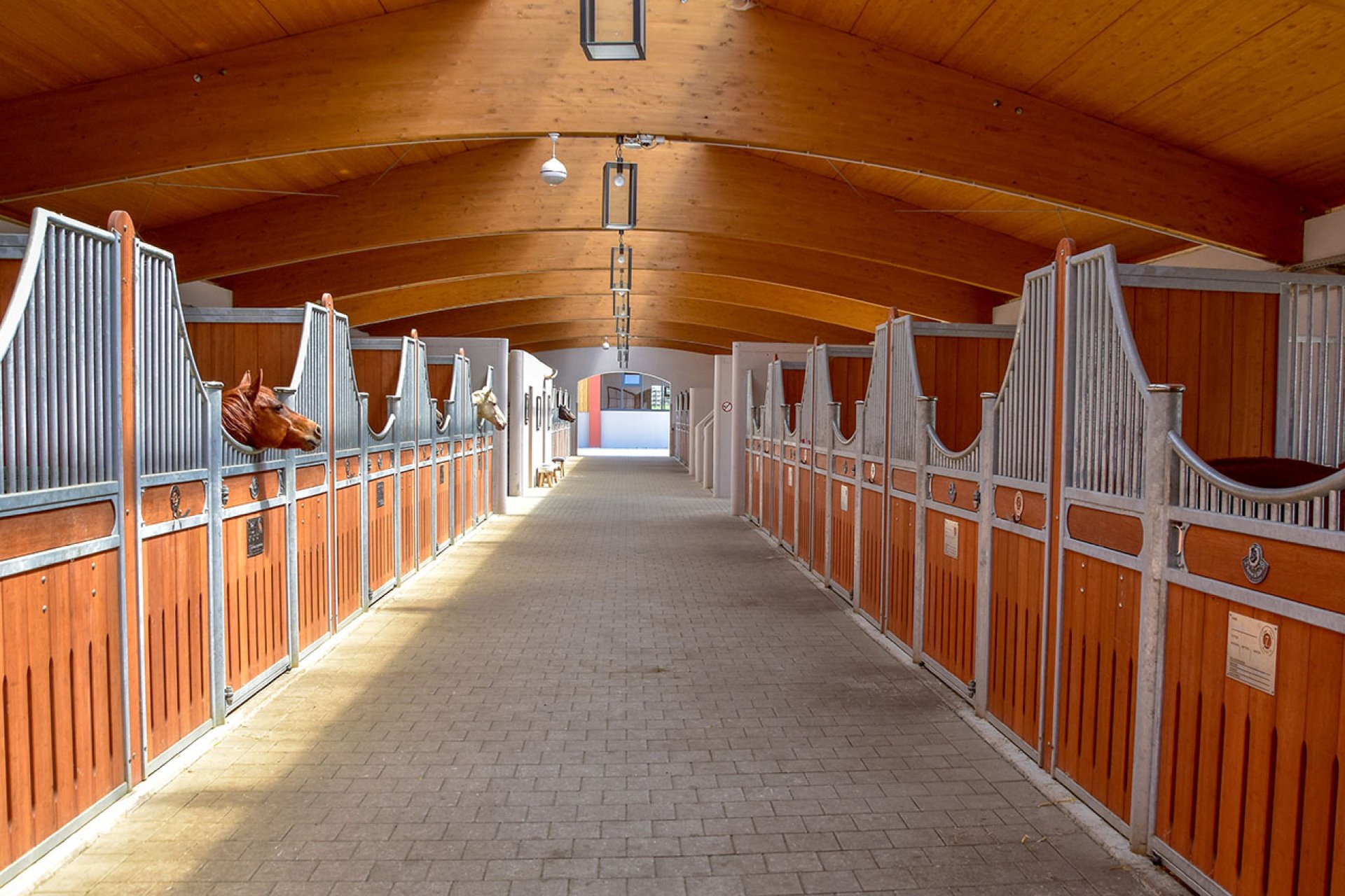 Image horse stall model Bremen (M000094285)