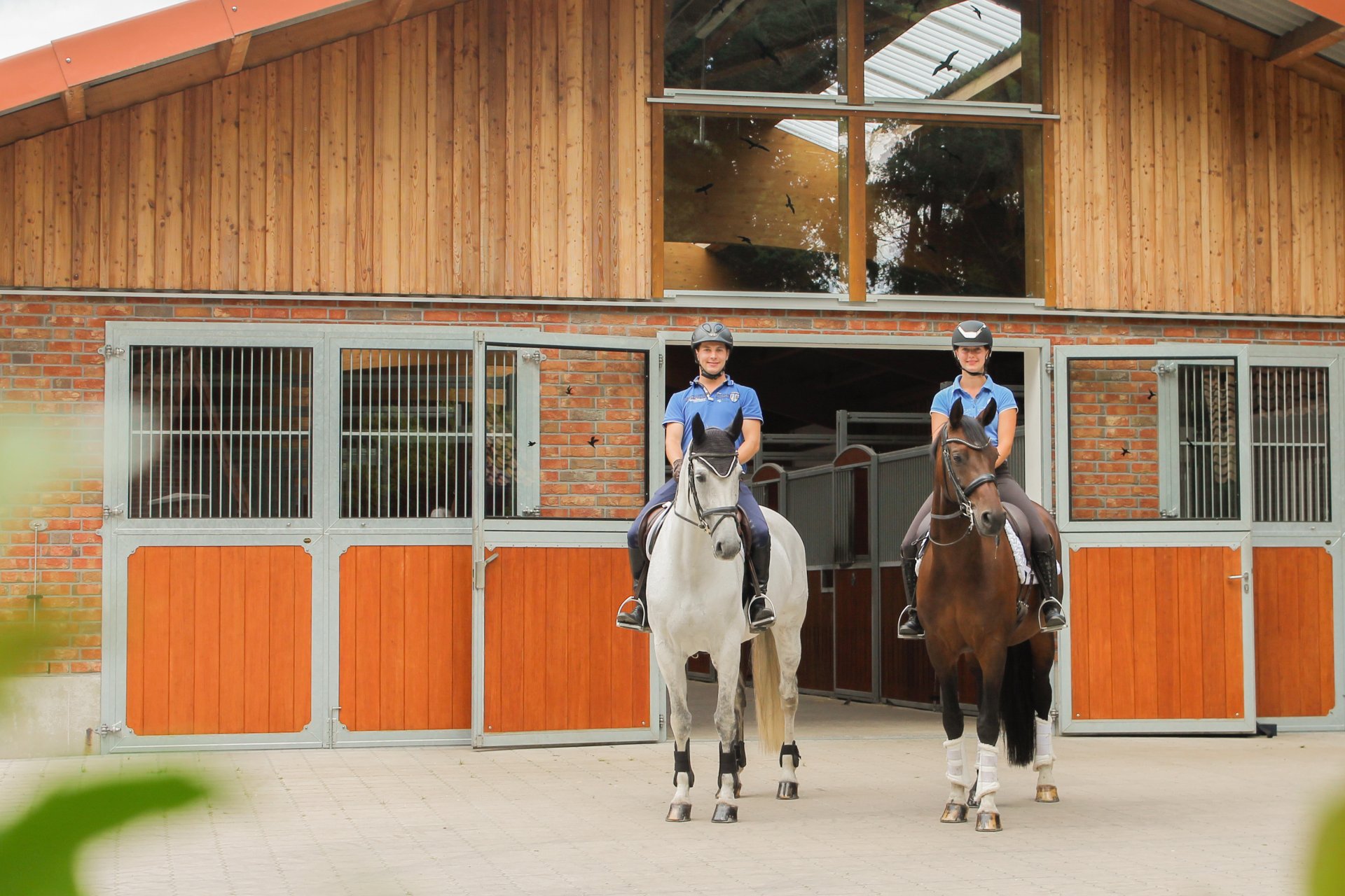 Röwer und Rüb_Herbstkampagne attraktive Sonderkonditionen, Tor mit 2 Pferden