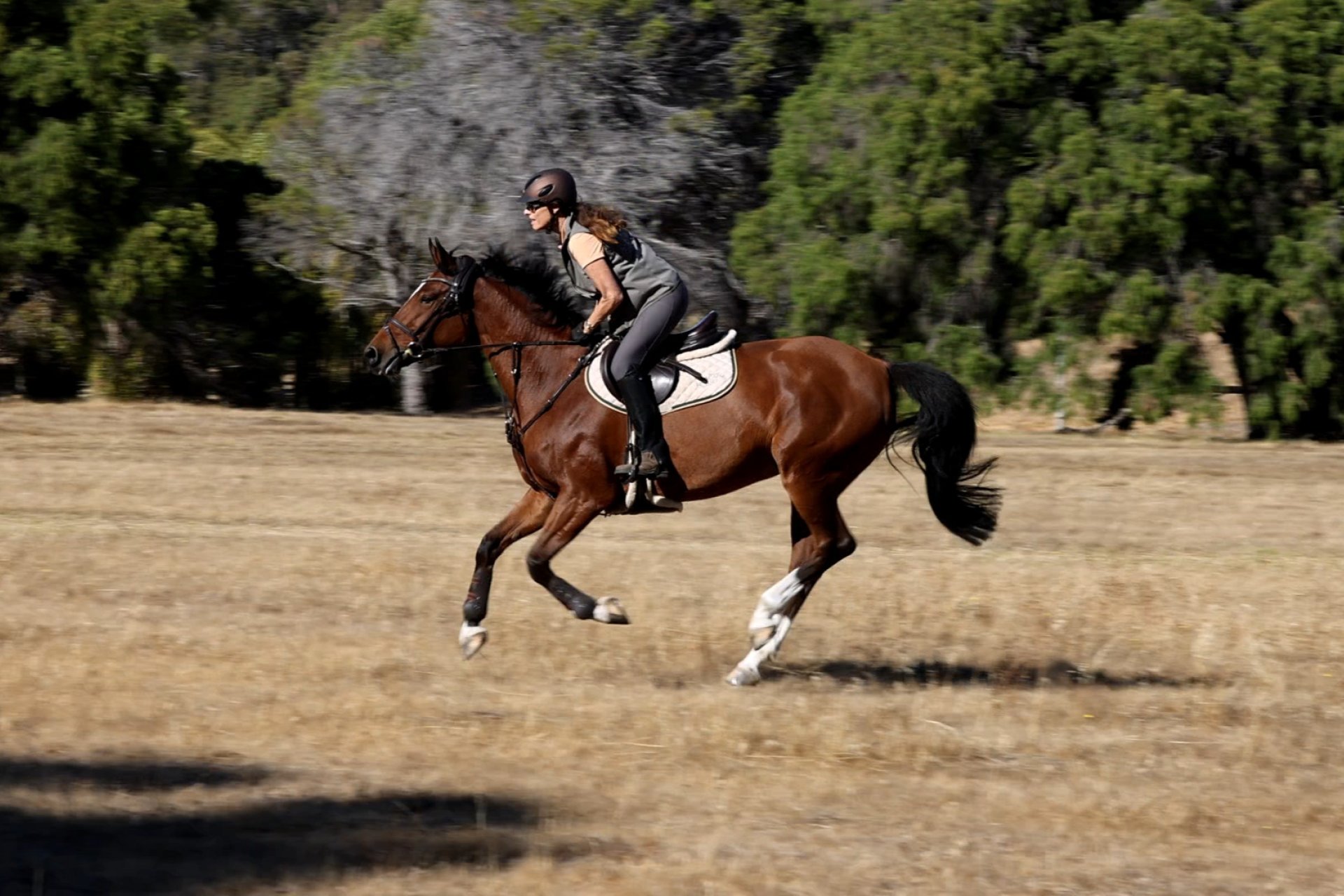 Une cavalière galope avec son cheval en Australie