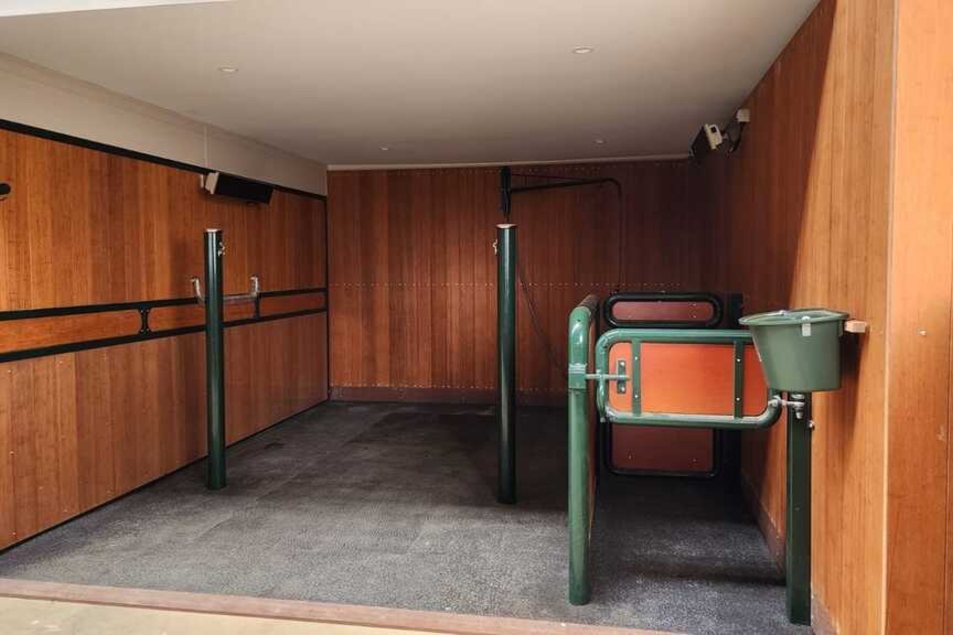 Espace pour laver avec revêtement en bambou et stand d'examen
