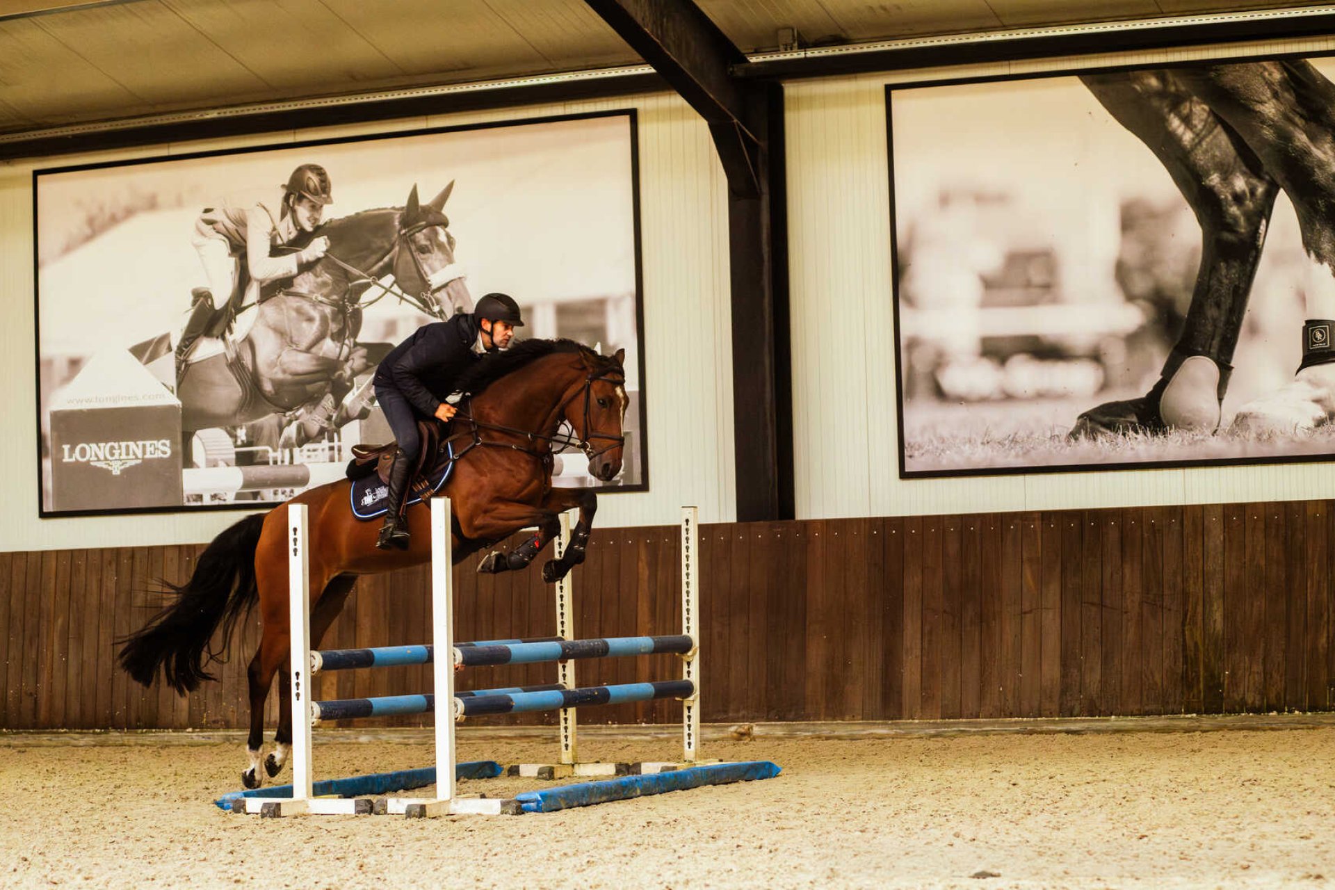 Un cavalier saute un obstacle dans les écuries Ehrens