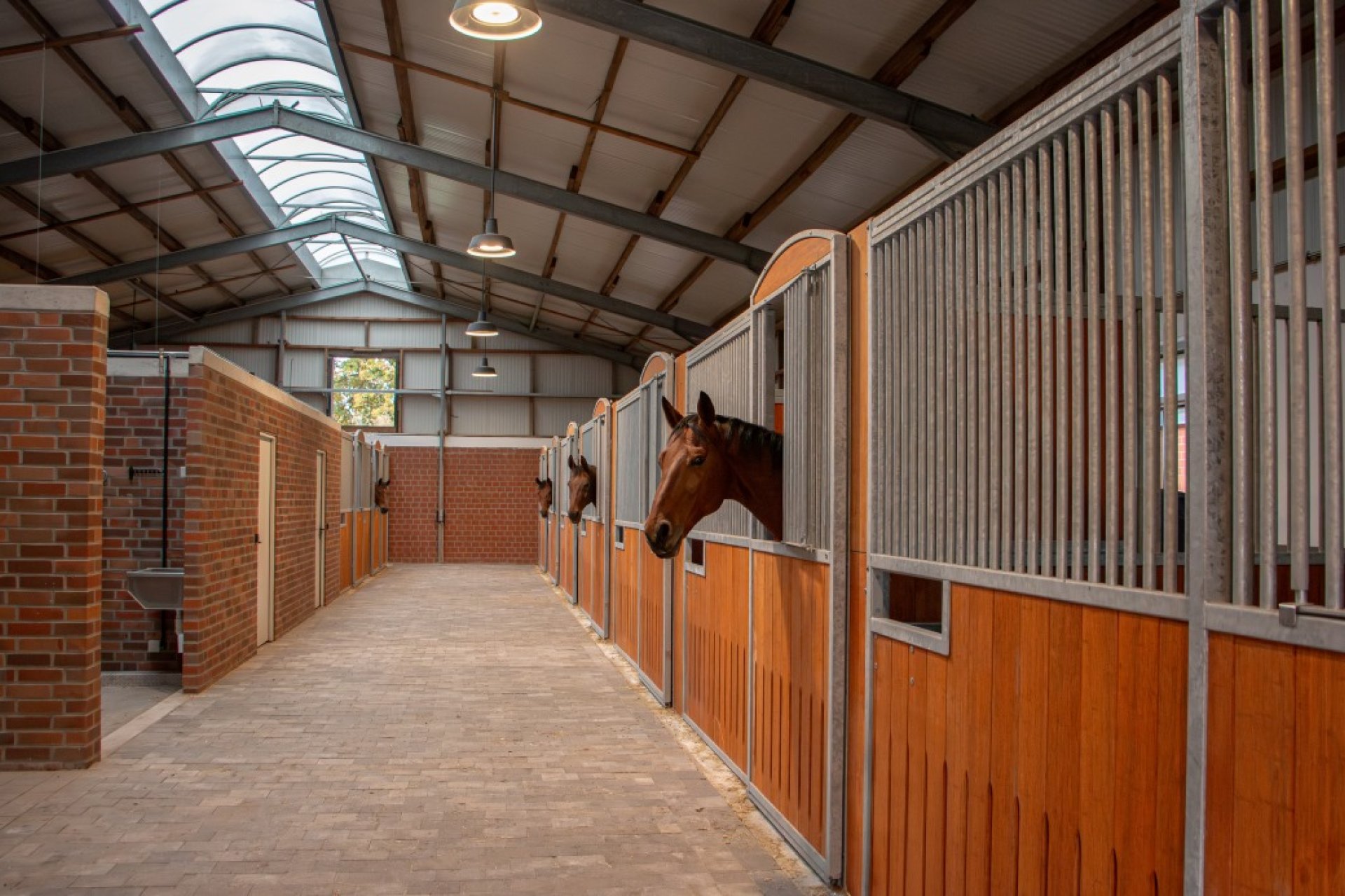 Moderne Stallgasse im Dressurstall Knoll mit Modulsystem und Pferden in den Boxen