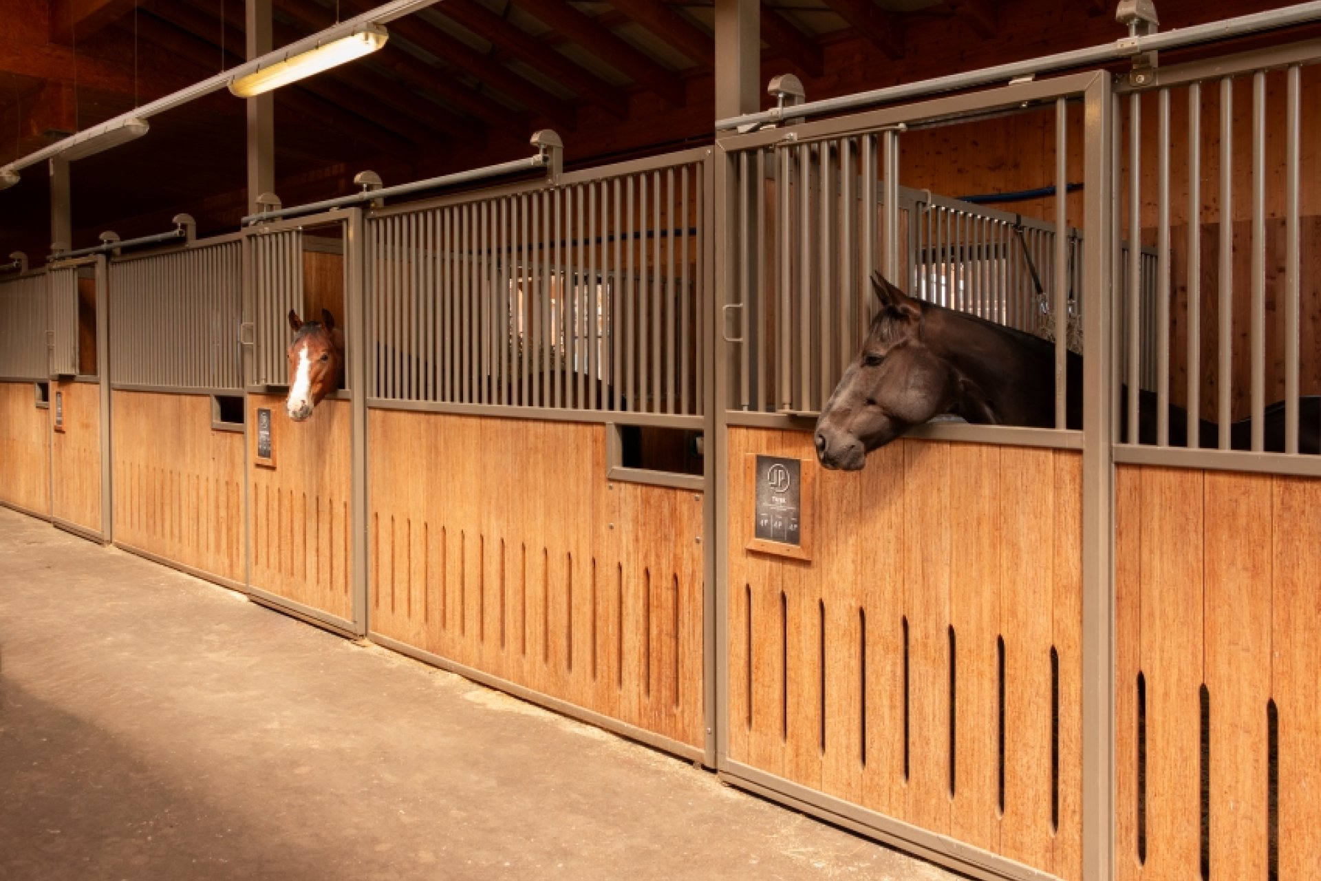 jacpoint-quarterhorses-boxes-a-chevaux-couloir-equestre.jpg
