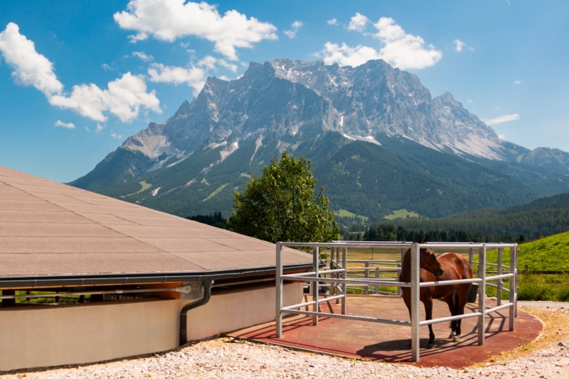Jacpoint Quarterhorse dans un paddock avec vue panoramique sur la Zugspitze et les Alpes environnantes