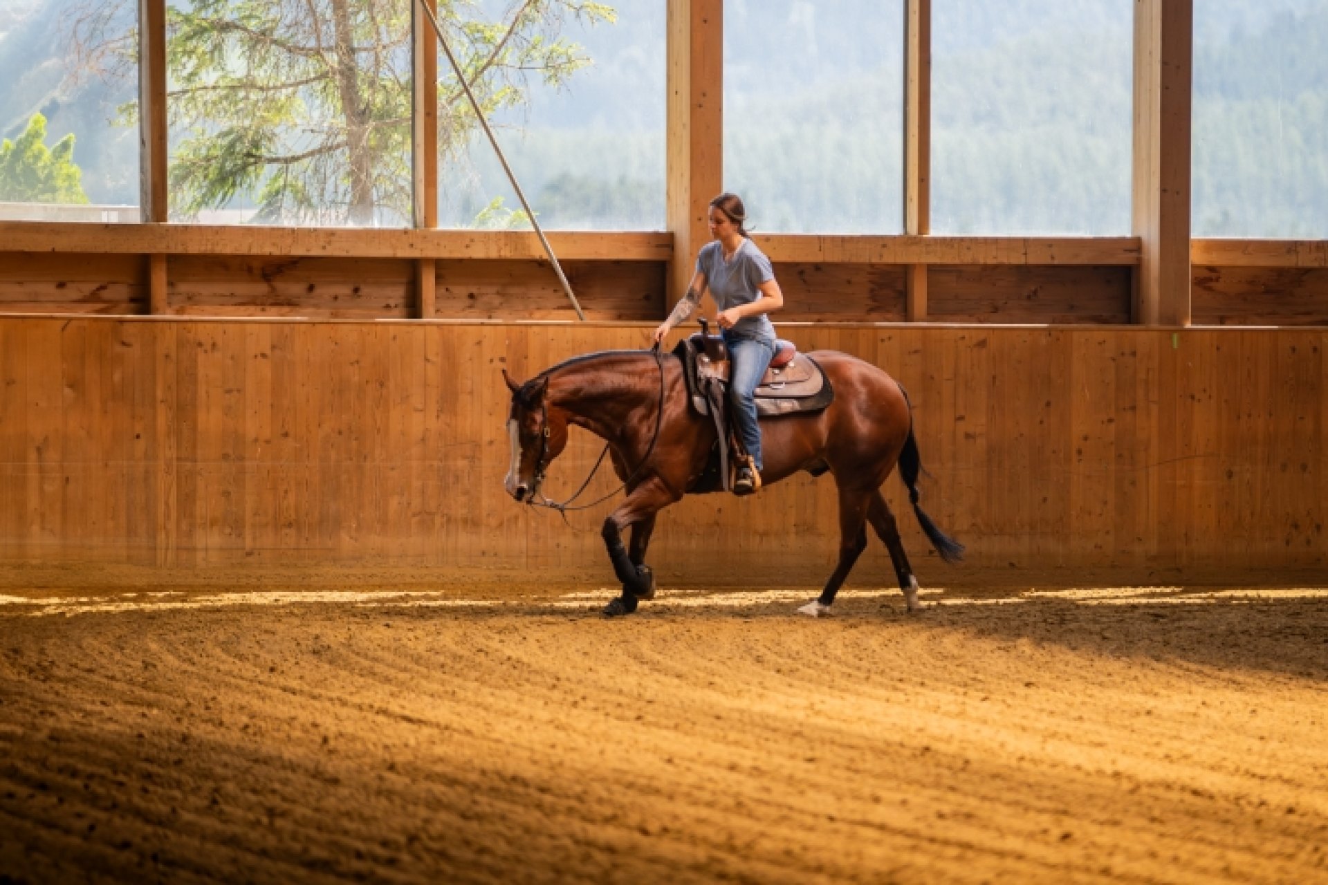 Cavalière s'entraînant avec un Jacpoint Quarterhorse dans un manège intérieur baigné de soleil