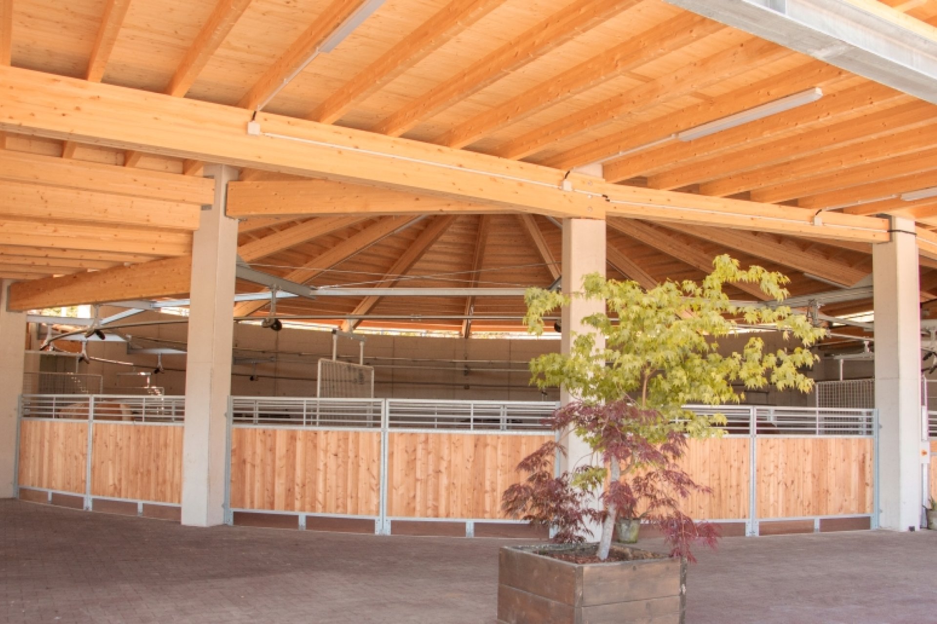 Marcheur pour chevaux couvert moderne chez Jacpoint Quarterhorses avec structure en bois et métal