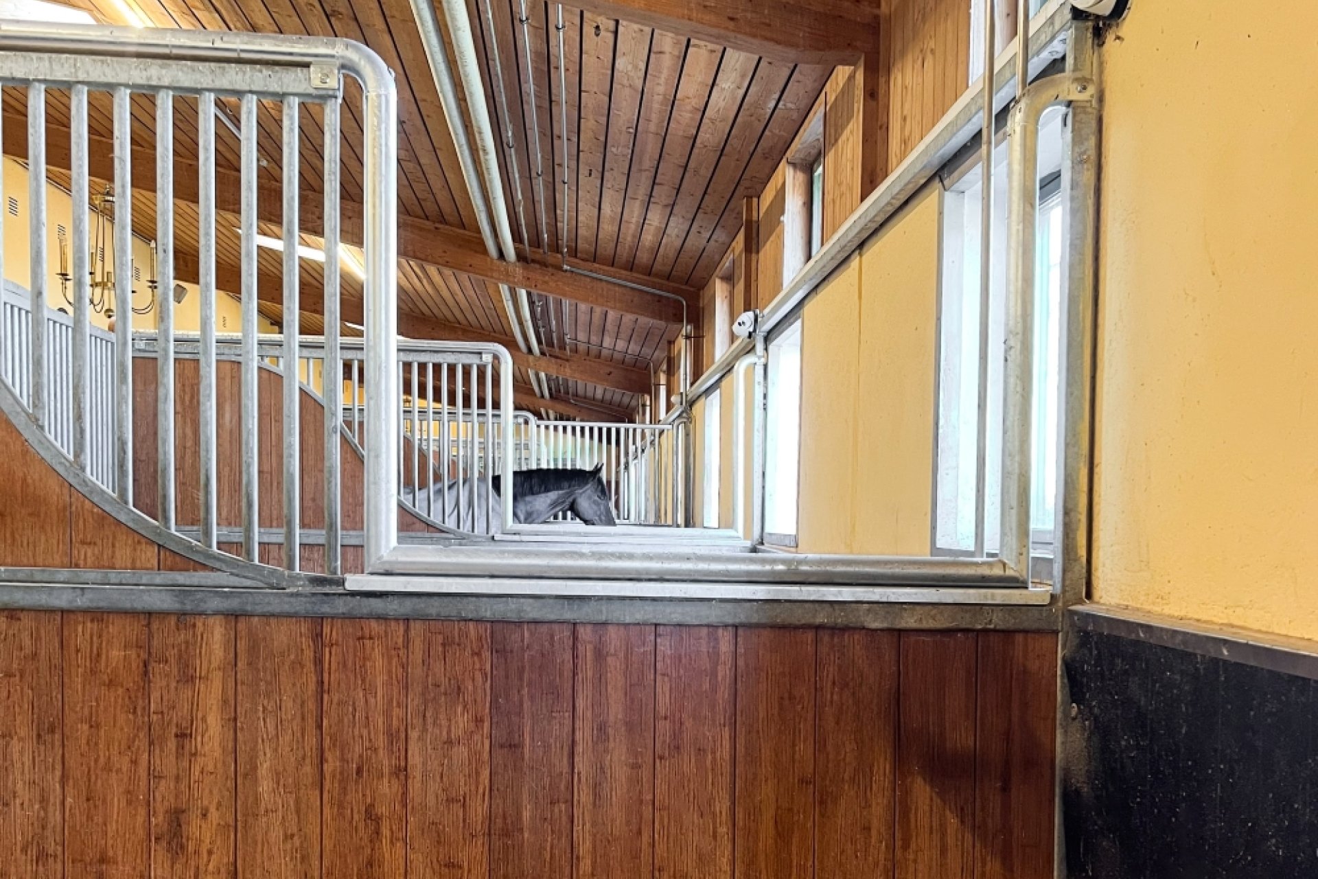 View through the partition for social interaction into the rear stalls with horses