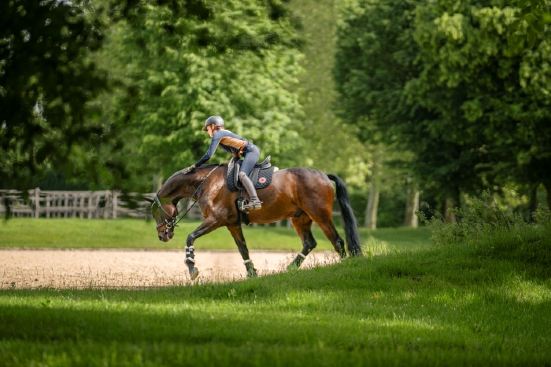 Jessica von Bredow-Werndl rides a relaxed horse outside