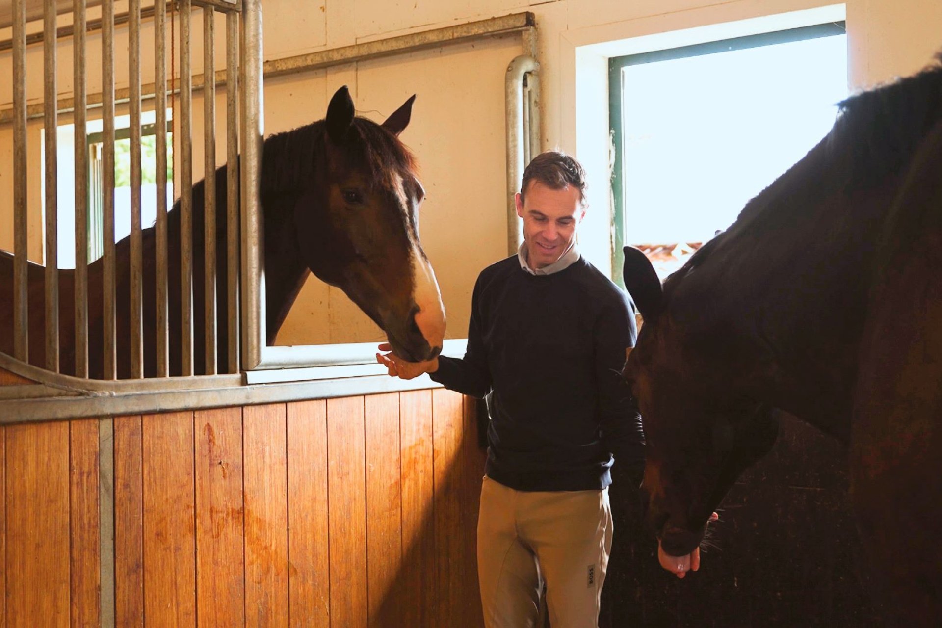 Benjamin strokes his horses through the social contact partition in Aubenhausen