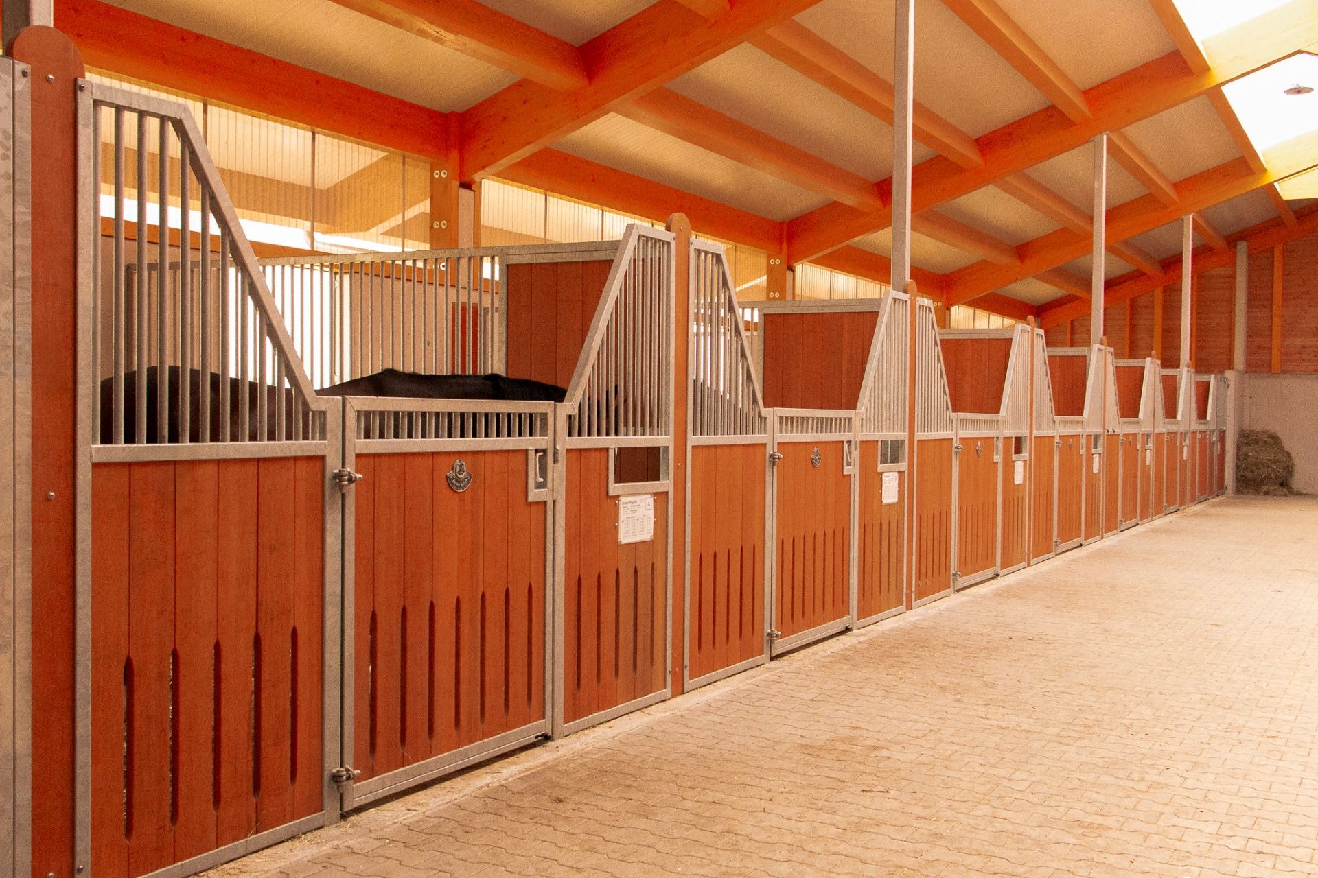 Allée d'écurie d'un seul côté avec boxes ouverts pour chevaux Pure.