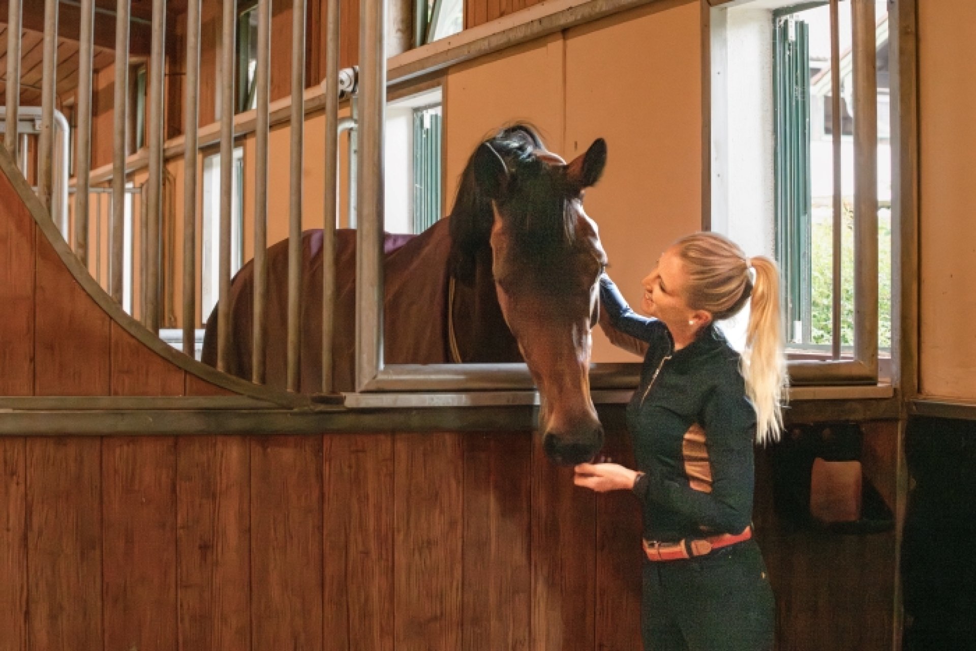 Jessica strokes her horse through the social contact partition in Aubenhausen