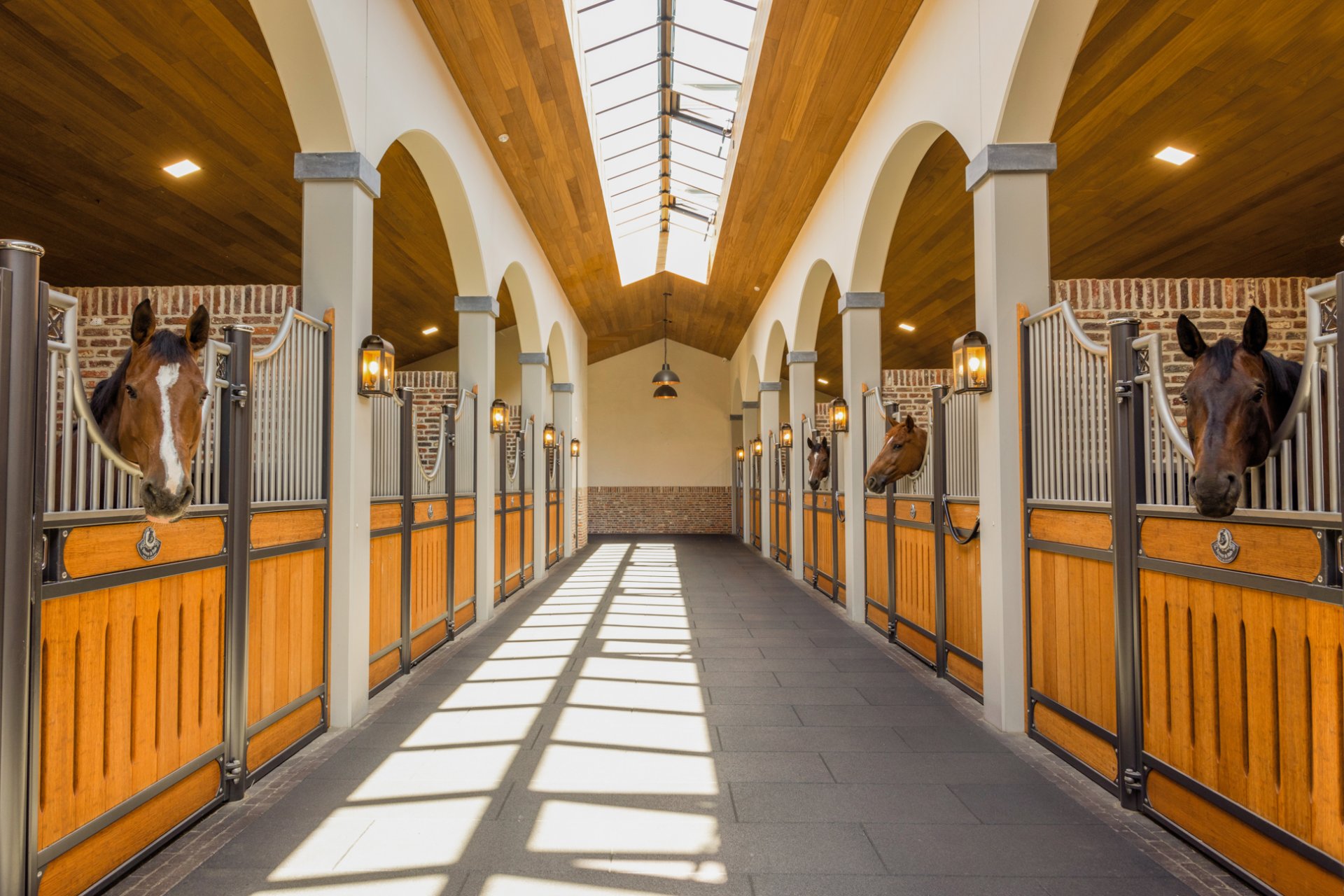 Helle Stallgasse mit Pferdeboxenoxen