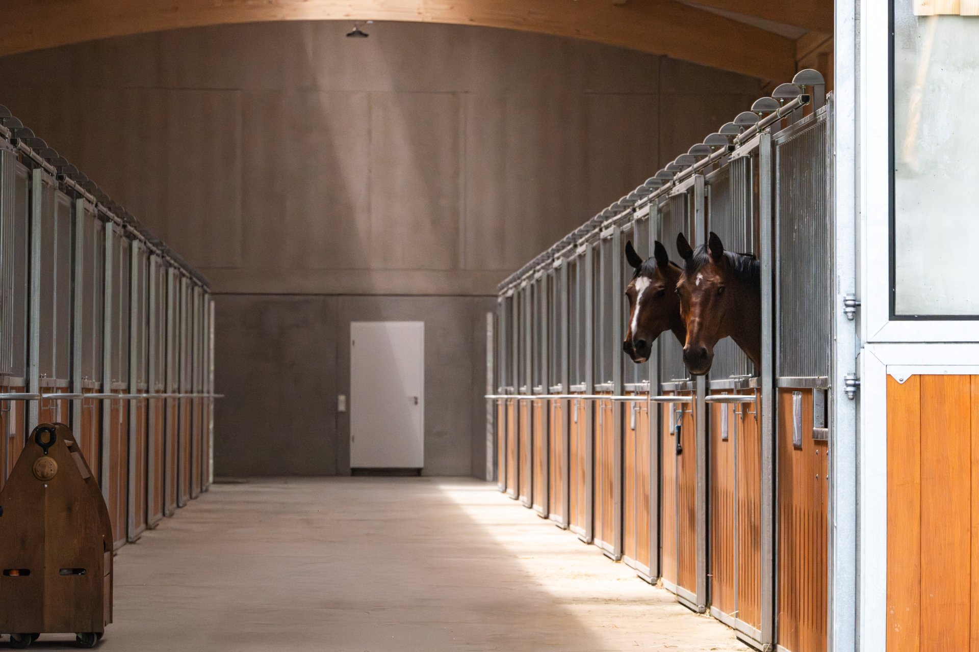 Vue dans une allée d’écurie avec des chevaux au Haras Bachl