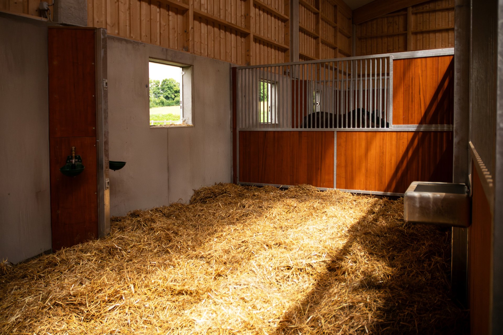 Stabulation créé à partir de deux boxes individuels au Haras Bachl