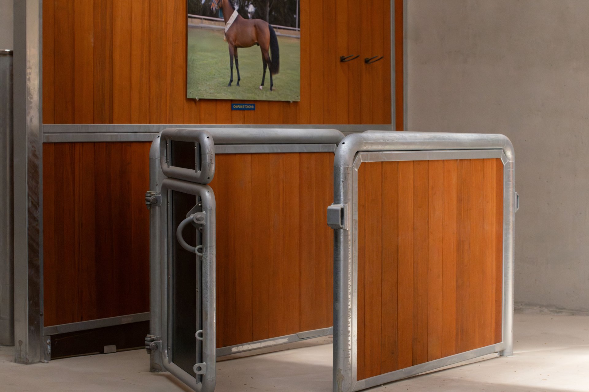 Custom-made inspection stand at Bachl Stallion Station