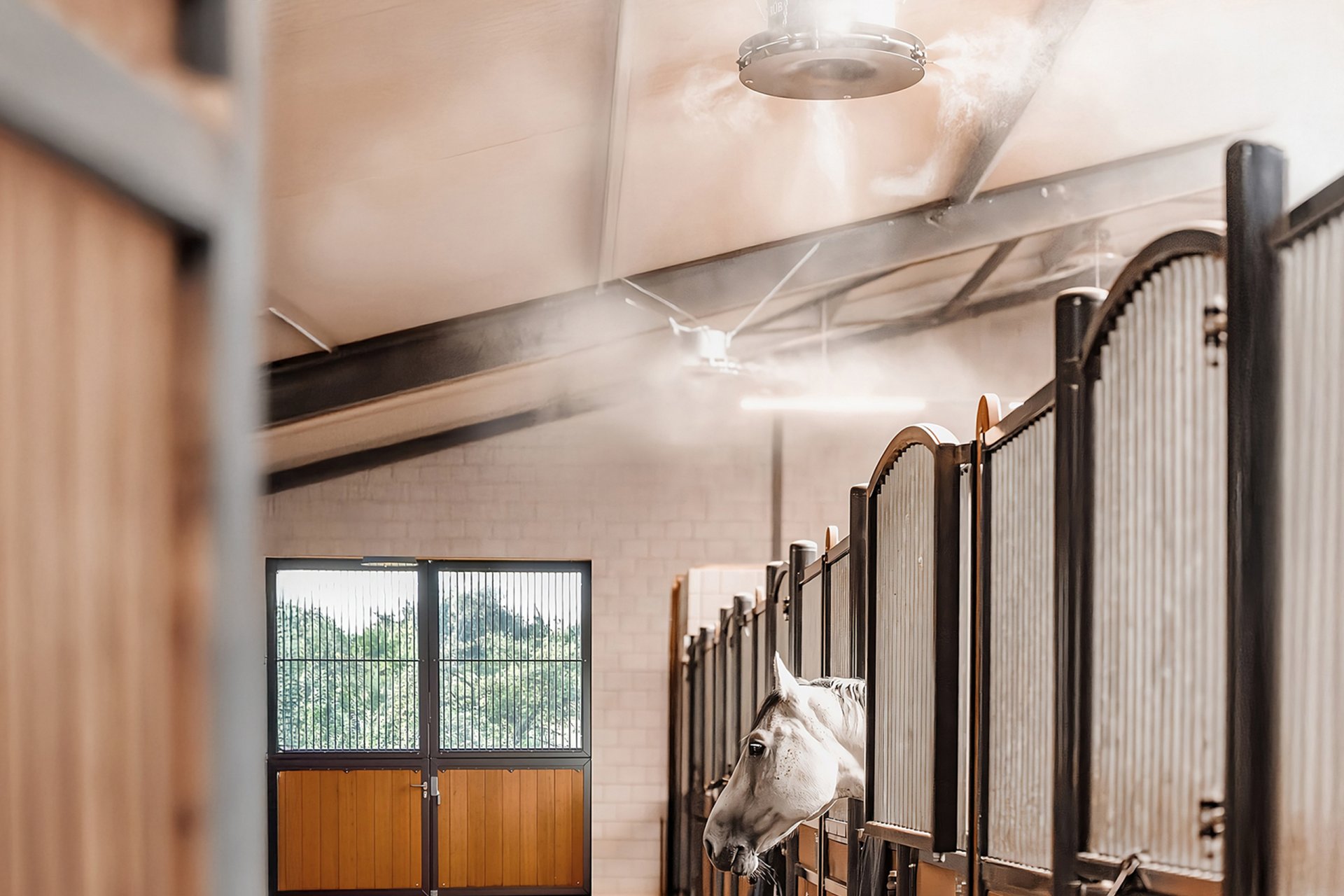 R&AIR Breeze in der Stallgasse