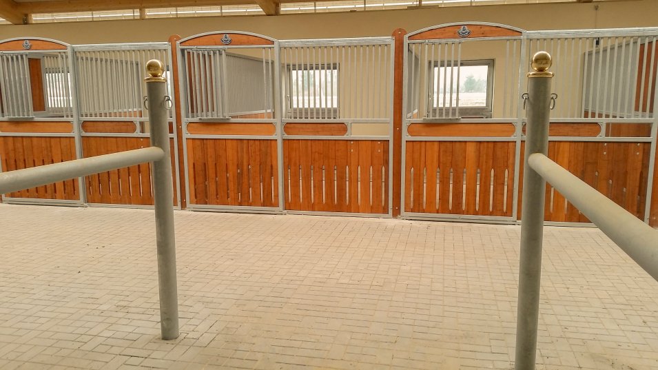 View of horse stalls Hamburg with tying posts in the front
