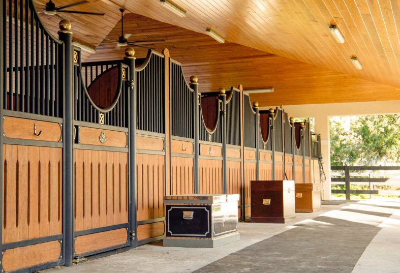 Covered horse stalls Rom with view to the outside