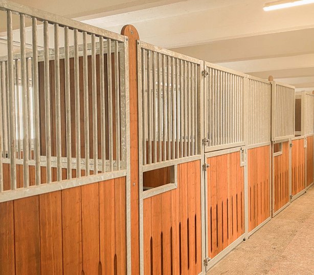 Stable lane with horse stalls Stuttgart galvanised with bamboo filling