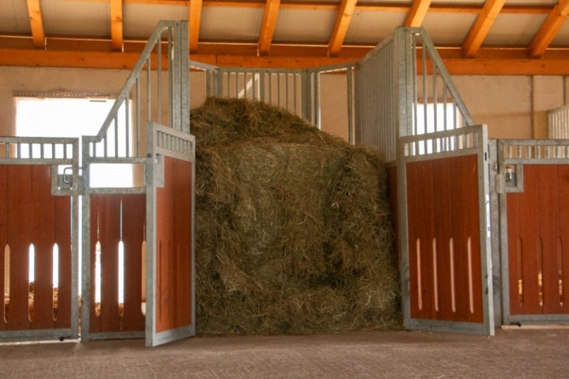 Hayrack for hay feeding in a horse stable with open door and loose hay
