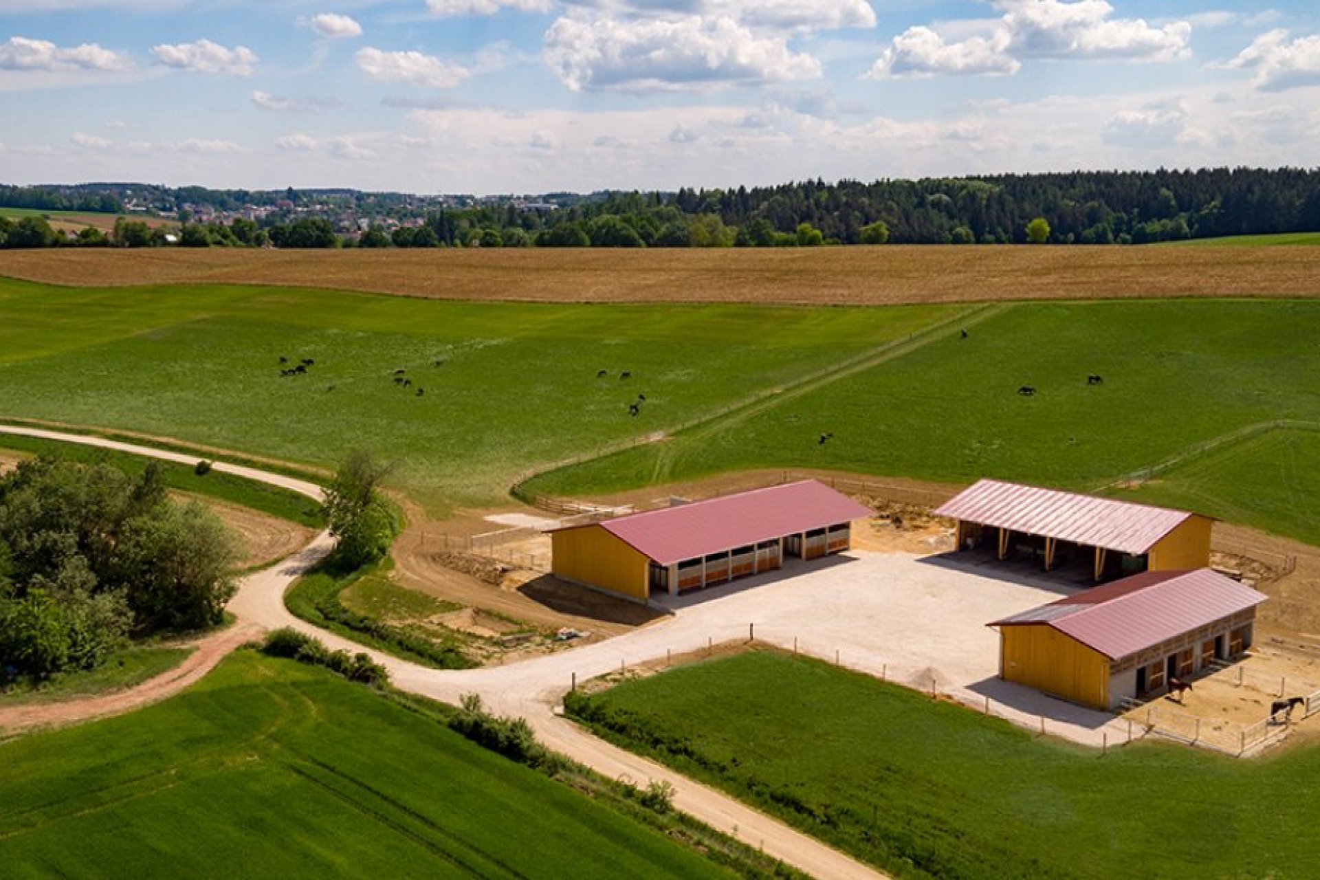 DJI_0022