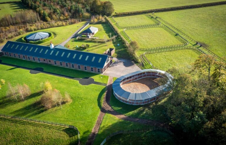 NEWSELLS PARK STUD