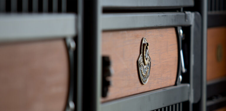 Nahaufnahme Boxenfront Hannover mit Emblem