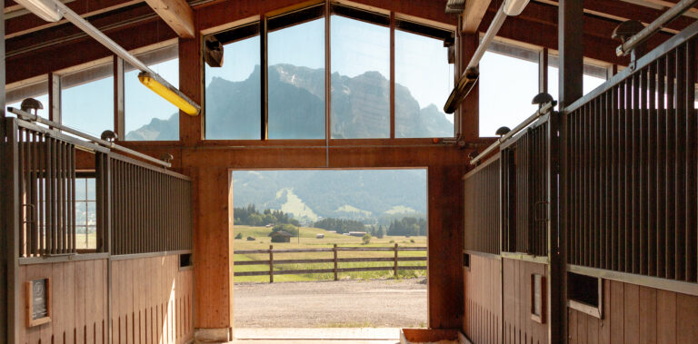 Blick vom Jacpoint Quarterhorses-Stall auf eine idyllische Berglandschaft mit Weide