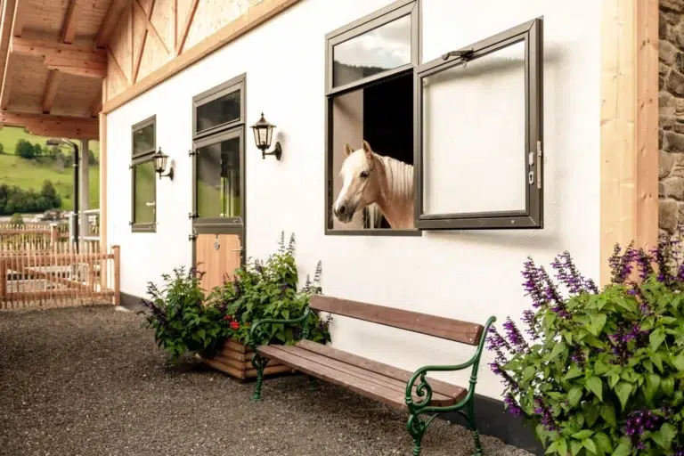 roewer rueb fenster content M000144760 2