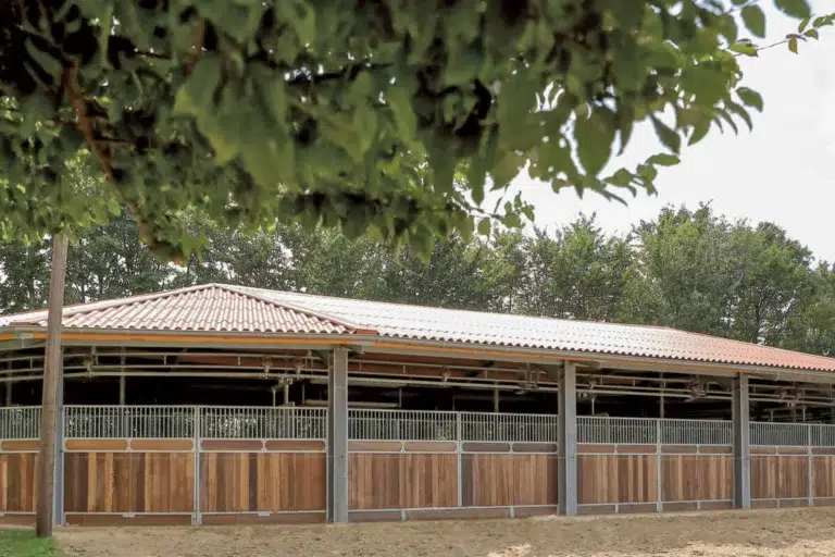 roewer rueb ovale fuehranlage M000113642