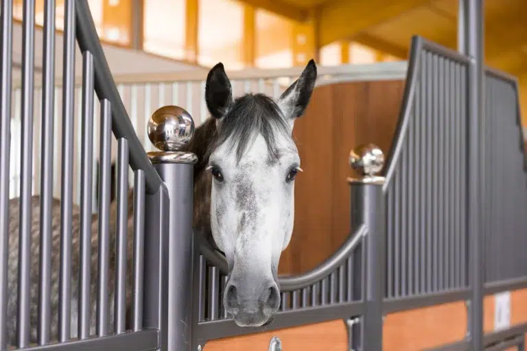 Bremen horse stall | Rwer & Rb