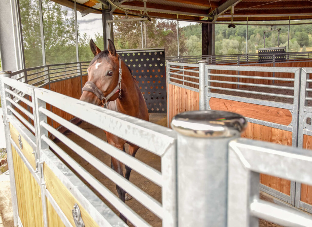 roewer rueb runde fuehranlage M000114183 content