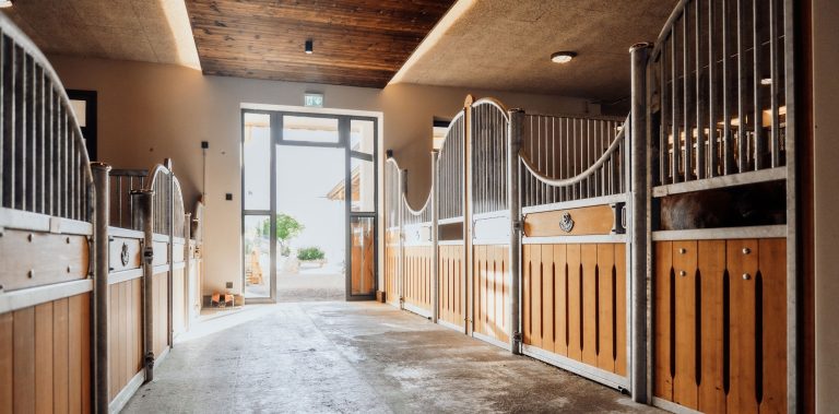 Stallgasse im warmen Licht mit Pferdeboxen Modell Amsterdam