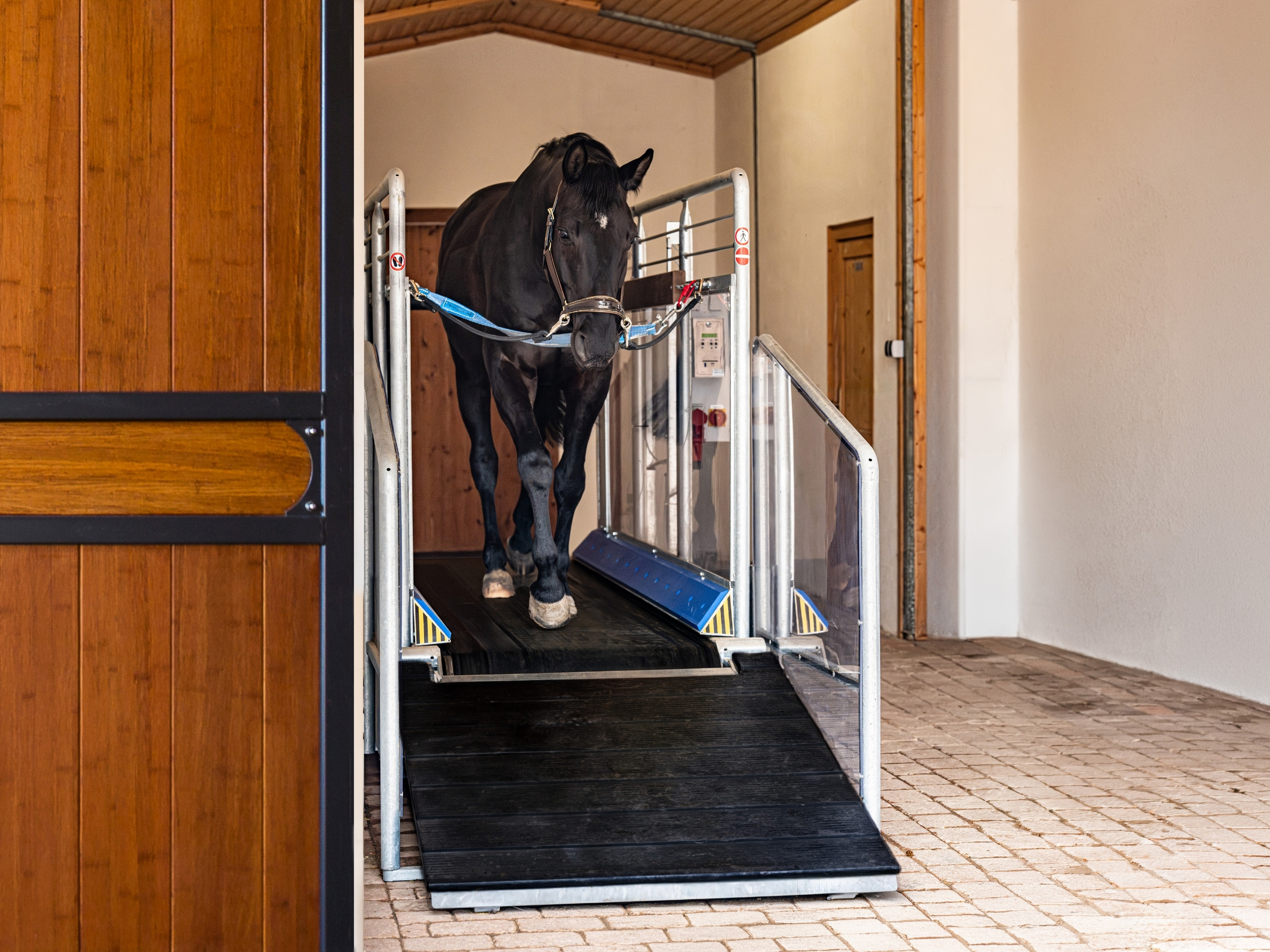 Pferd trainiert auf dem Laufband in einem Röwer & Rüb Stall